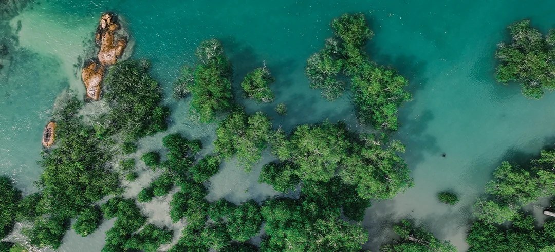 Our ESG Approach