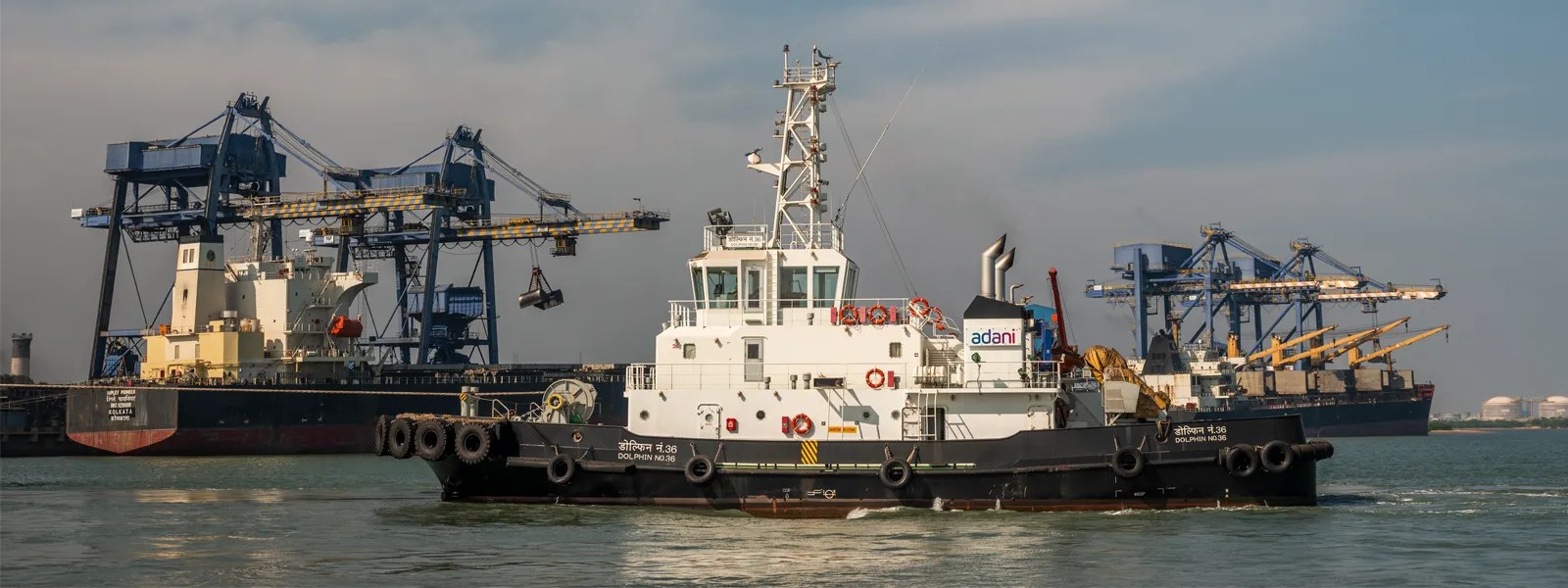 Krishnapatnam Port